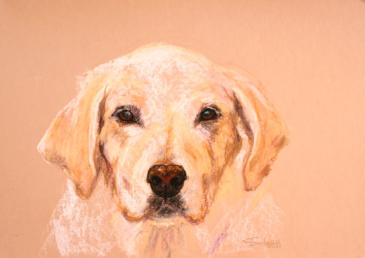 Impressionistic Animal Pastel Drawing By Salana Art / Svetlana Samovarova, 17 X 12", Dog Iii Labrador Retriever, Artfinder