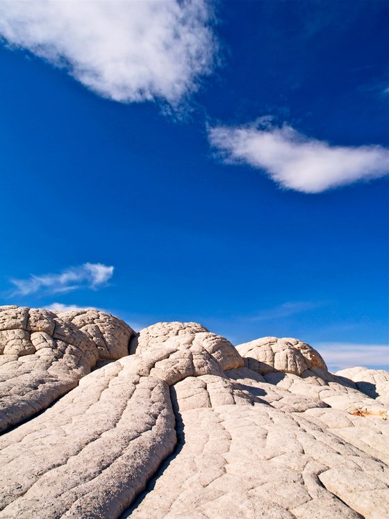 Brain Rocks of White Pocket