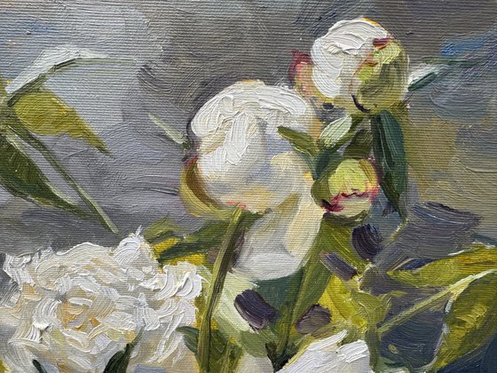 Whispers of White Peonies