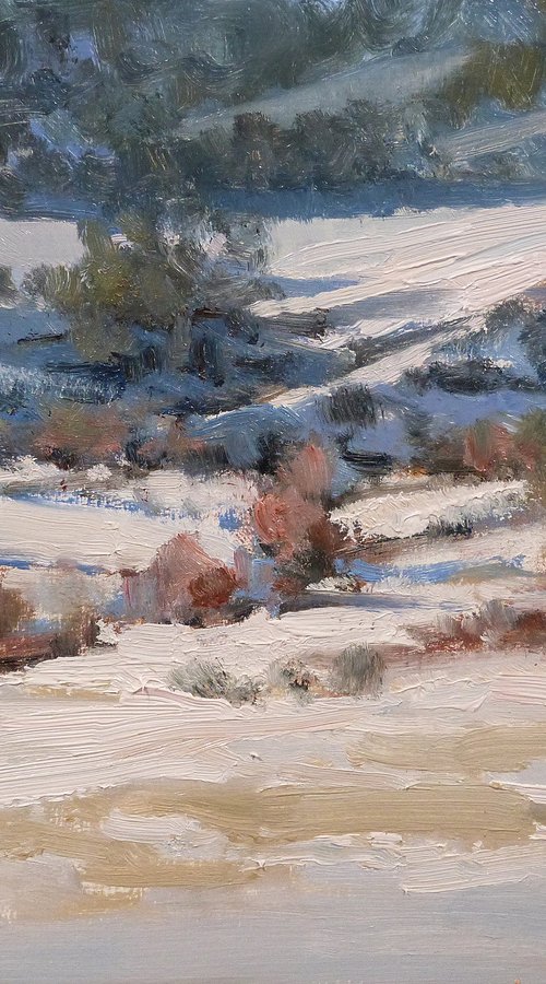 Winterscape near Seyne by Pascal Giroud