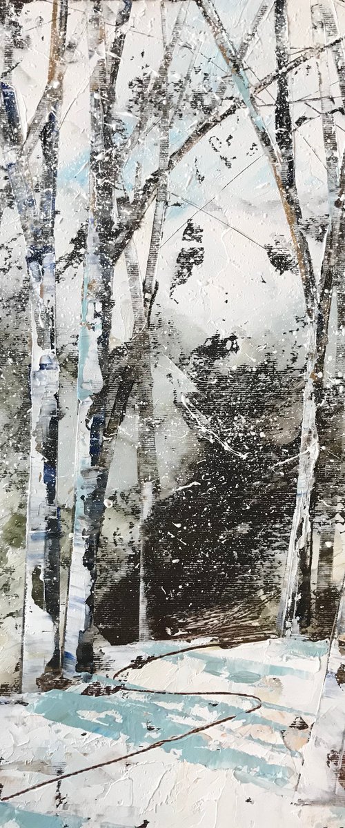 Winter Woodland by Belinda Reynell