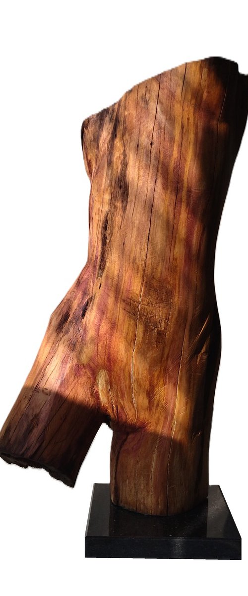 "Cavort" by Rasho Mitev