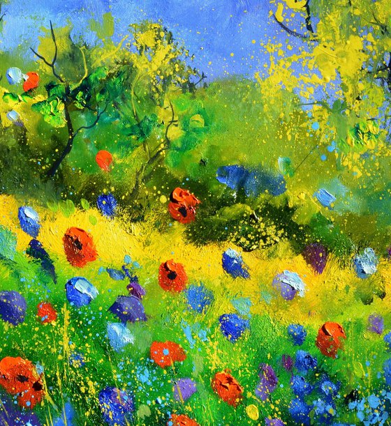 Red poppies 7788