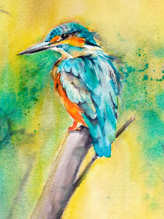 Kingfisher III