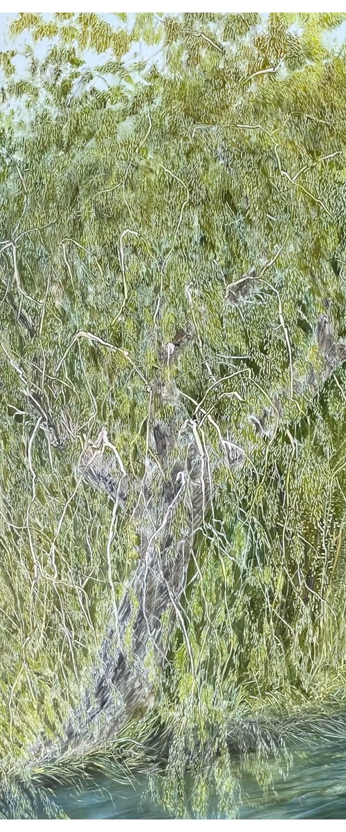 The Great Willow by Maija Nochevnaya