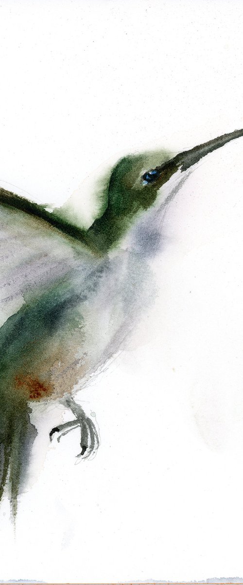 Hummingbird’s Pause by Olga Tchefranov (Shefranov)
