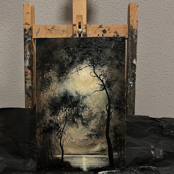 Nocturne lake