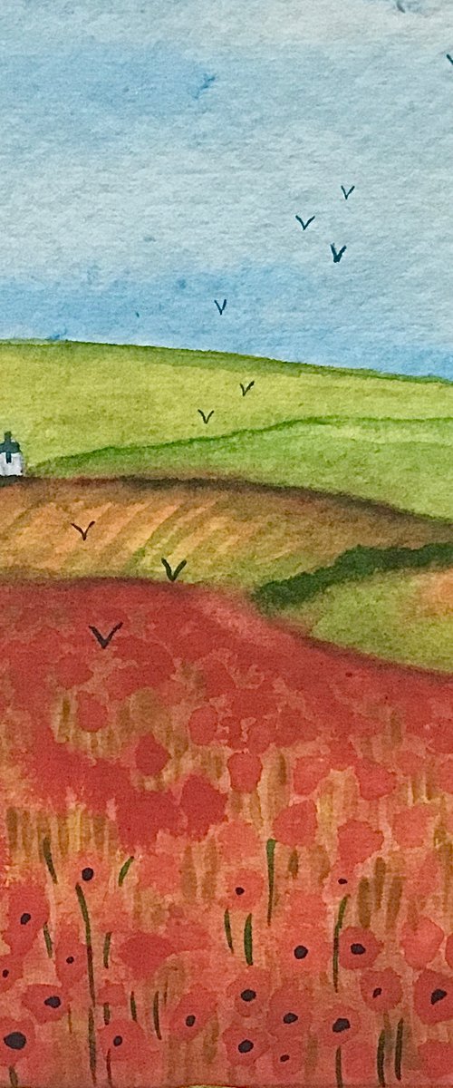 Poppy Fields, watercolour painting by Janice MacDougall
