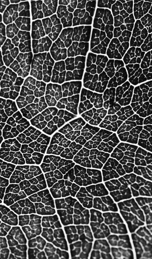 Leaf Veins XXIX [Framed; also available unframed] by Charles Brabin