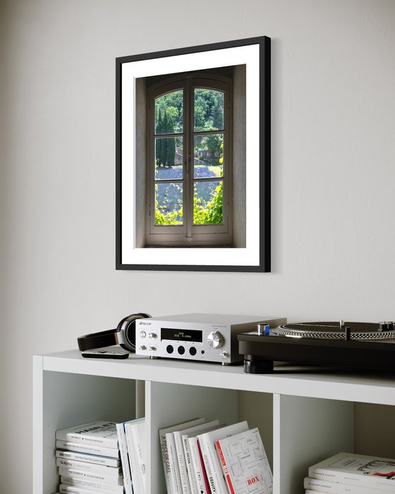 A WINDOW OF NATURE