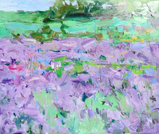 "Lavender Field "