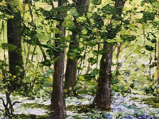 Wild Garlic and Bluebell Woods
