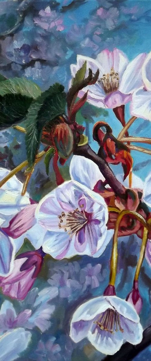 Apple Blossom 2 by Oleg Riabchuk