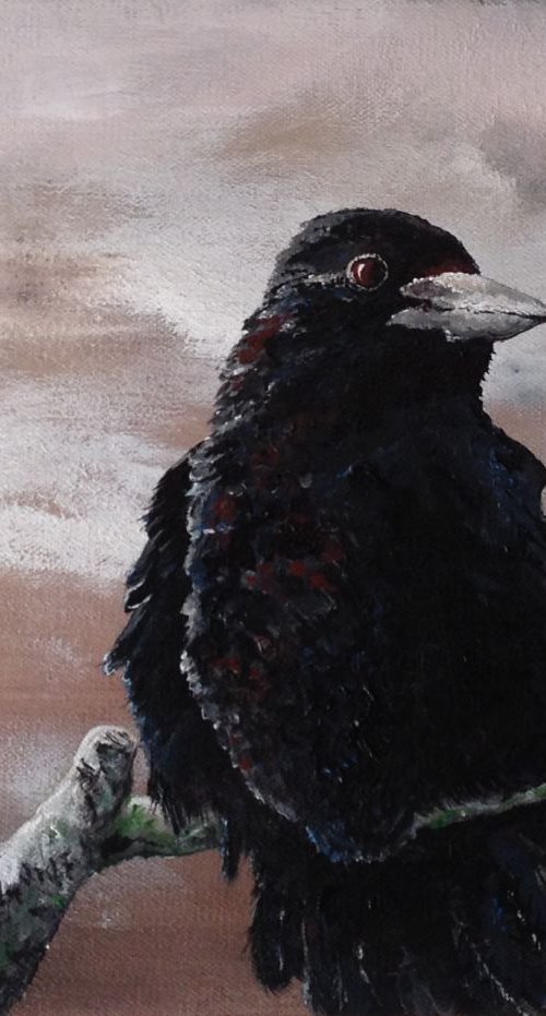 Winter Crow by Donna Daniels