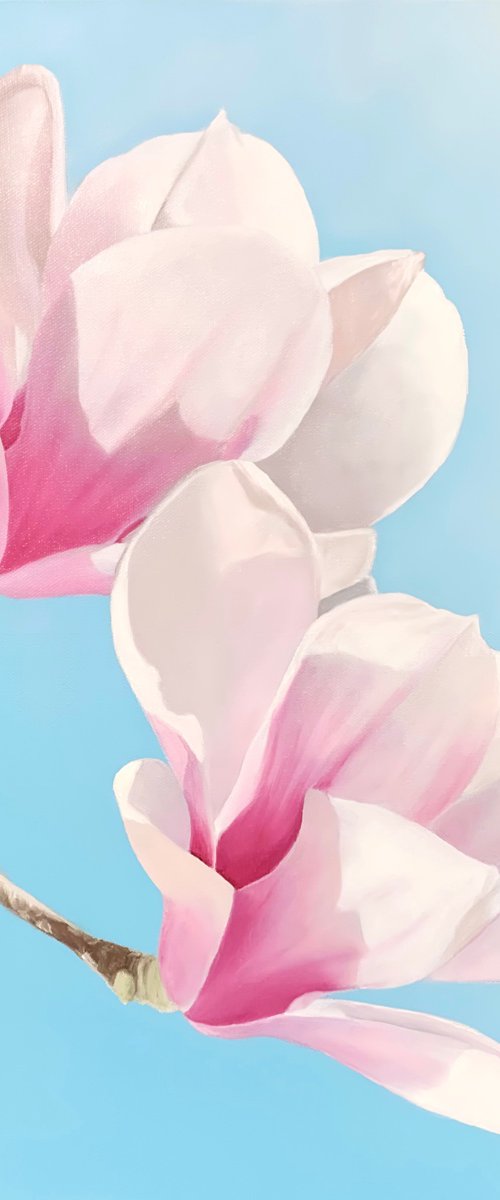 Stunning Blooms. Magnolia. by Alla Kallass