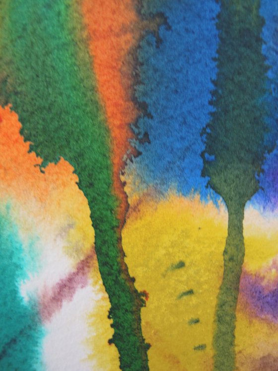 Colour Rush