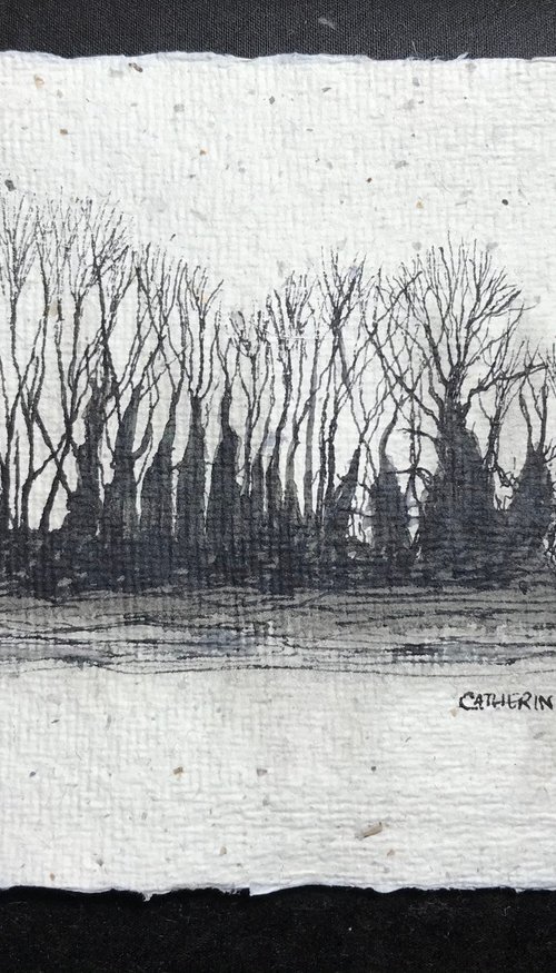 Winter Trees against the Sky in Pen and Ink - Traditional English Landscape -  Flitcham, Norfolk by Catherine Winget