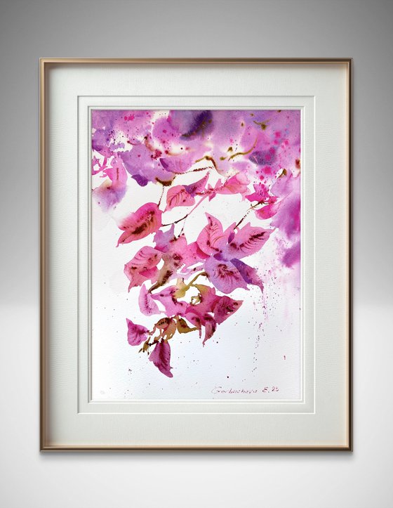 Bougainvillea Dream