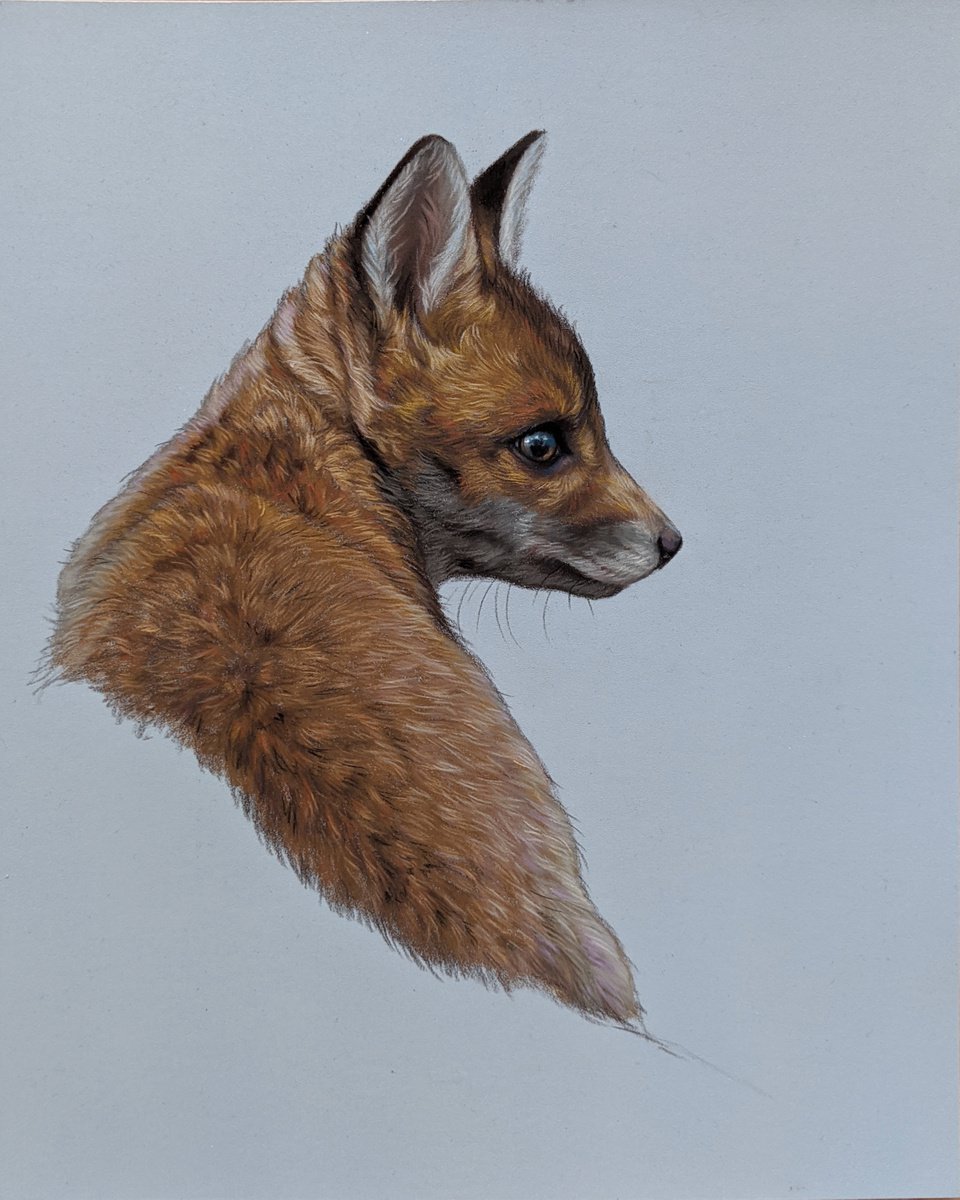 Fox cub by Tatjana Bril