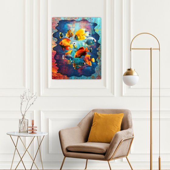 Red Sea Fishes