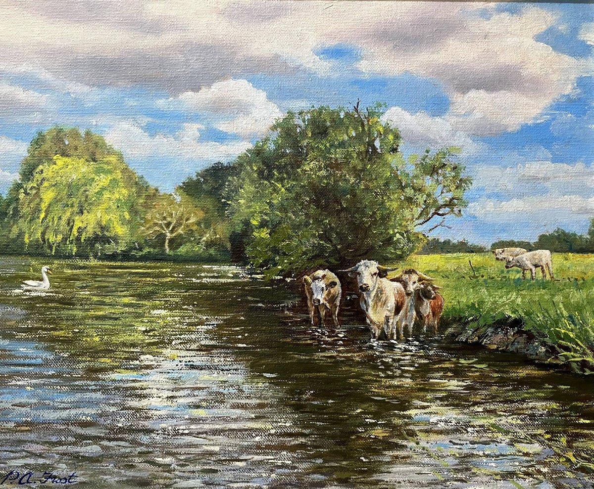 Illustrative Oil Painting , Longhorn Cattle On The Hampshire Avon By Peter Frost, 19 X 17, Artwork For Sale On Artfinder