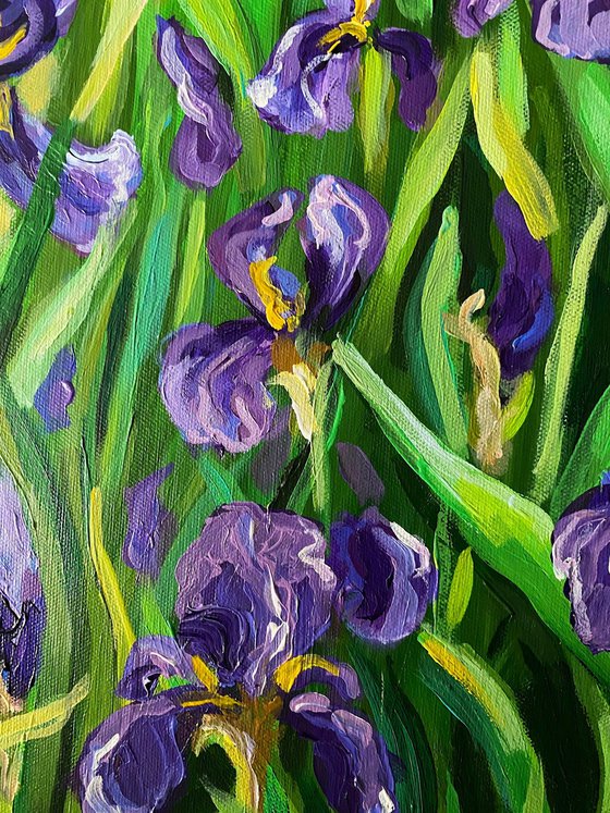 Iris Garden