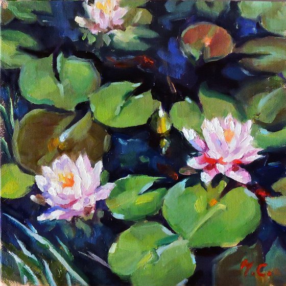 Summer lotus pond