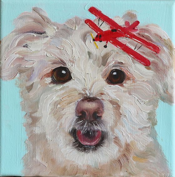 Puppy with toy airplane