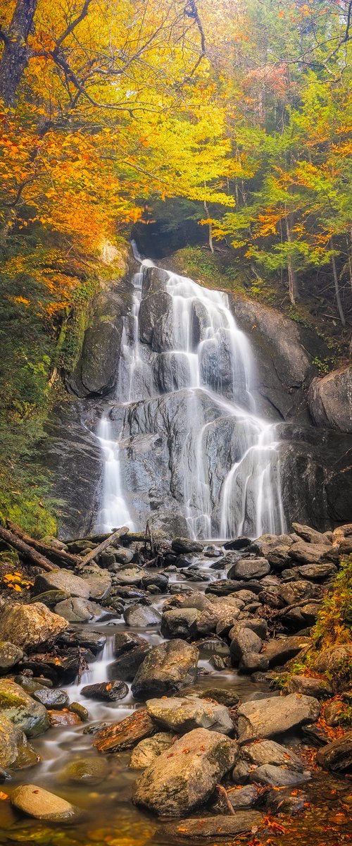 Moss Glen Falls in Autumn by Francois de Melogue
