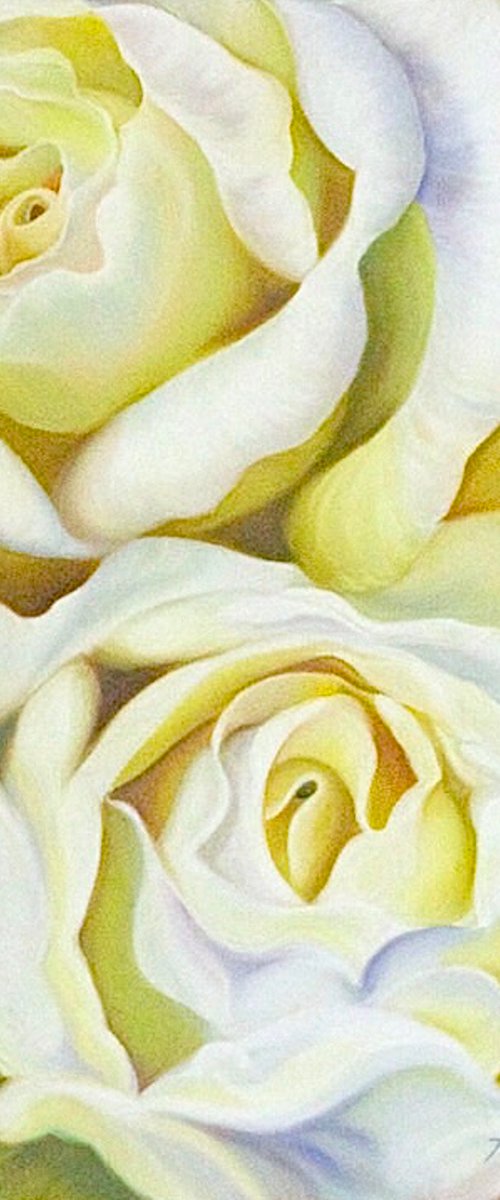 Innocence- Rose Painting by Anita Nowinska