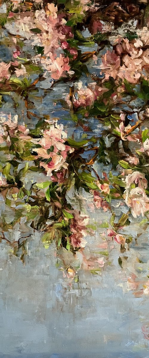 TENDERNESS - BLOOM by Elena Mashajeva-Agraphiotis
