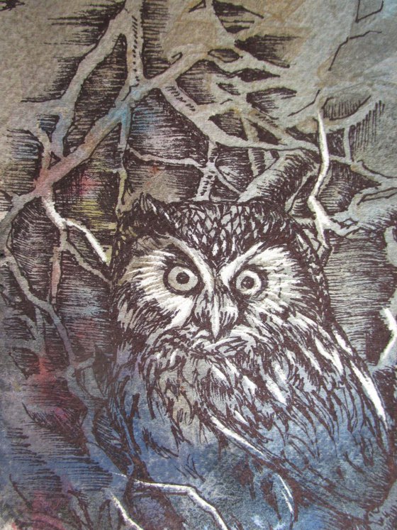 night owl drawing