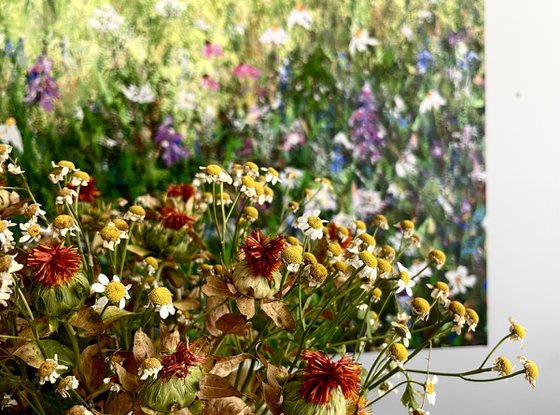 From Spring to The Summer