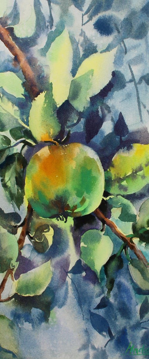 Apples. Original artwork . by Nadiia Dubei