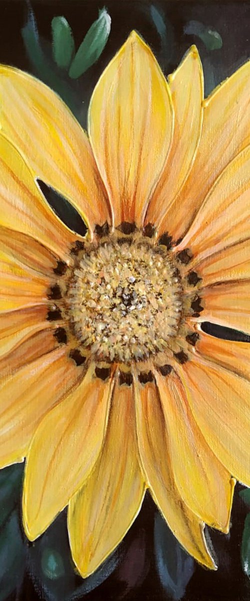 "Gazania" fiore by Chiara Schiavetta