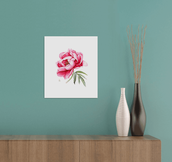 Pink peony