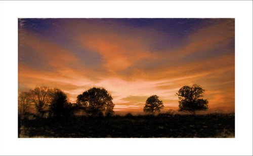 Sunset over Trees by Martin  Fry