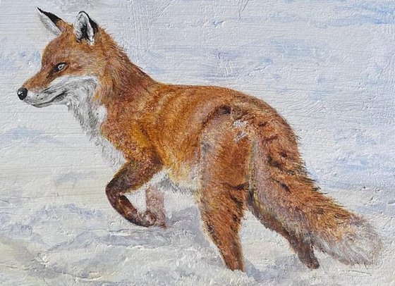 Winter Fox