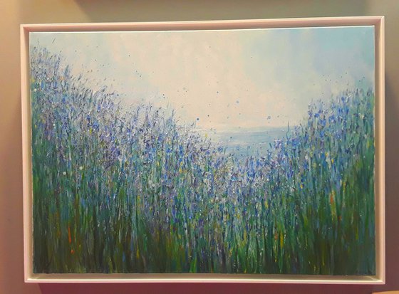 Bluebells and the sea