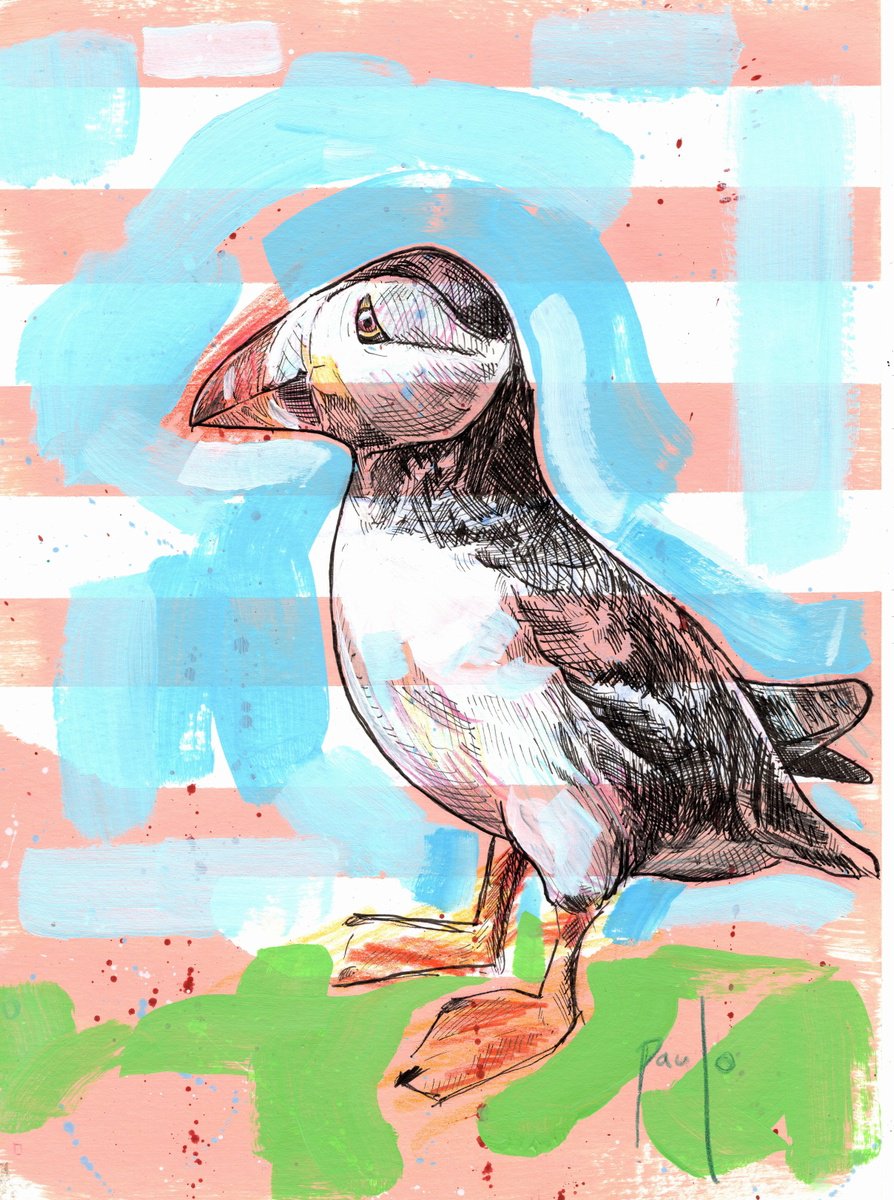 Illustrative Animal Ink Drawing By Paul Ward, 8 X 11", Atlantic Puffin, Original Artwork