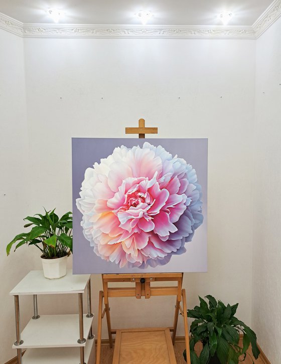 Charming peony