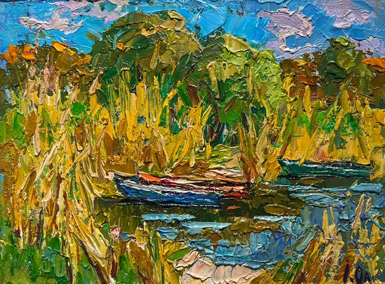 Boats on the shore