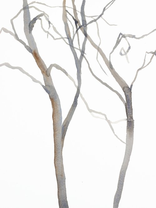 Tree Study No. 40 by Elizabeth Becker