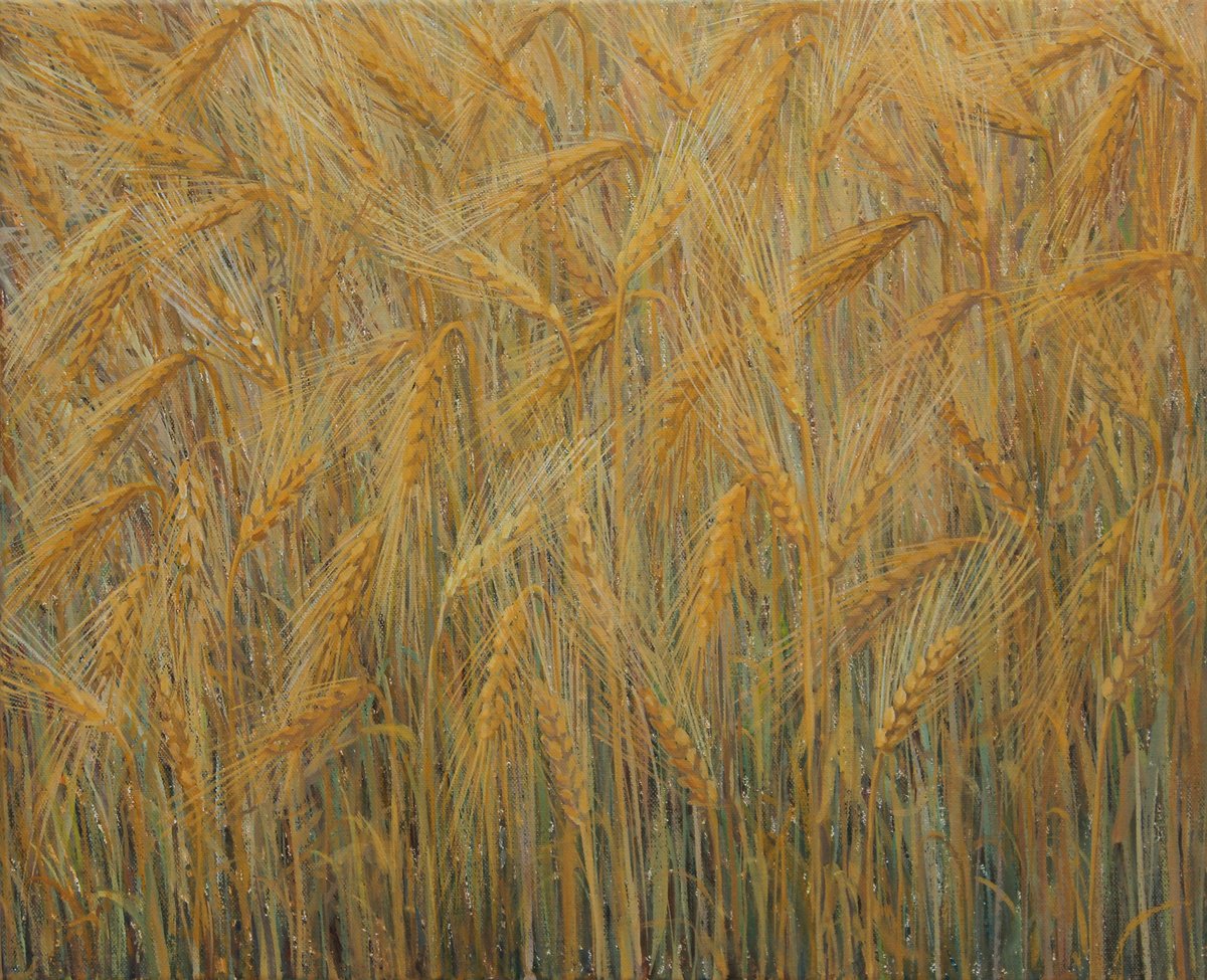 Impressionistic Botanical Acrylic Painting By Alenka Koderman, 22 X 18, Cereals 2022 , Acrylic On Canvas, 45 X 55 Cm, Artfinder