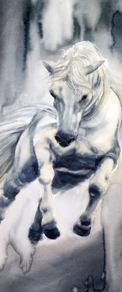 Run Like the Wind - White Hors by Olga Beliaeva Watercolour