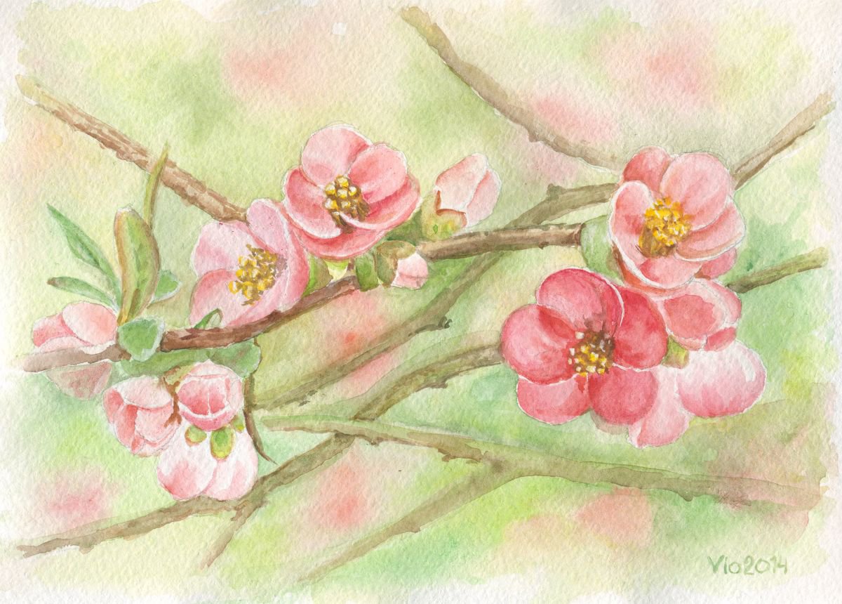 Sakura by Vio Valova