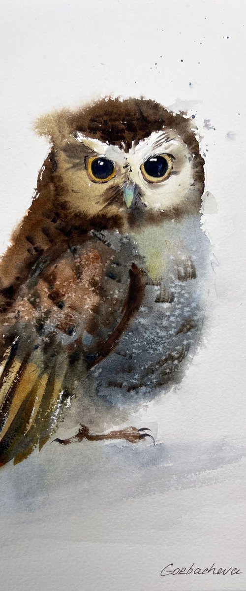 Little owl by Eugenia Gorbacheva