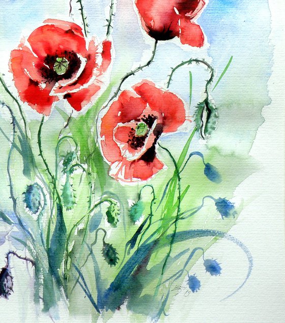 Five poppies