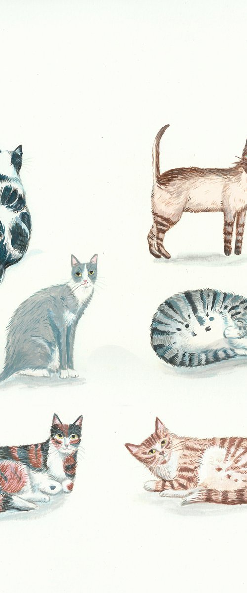 Cute cats by Mary Stubberfield