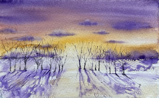 Frostу sunset in the forest